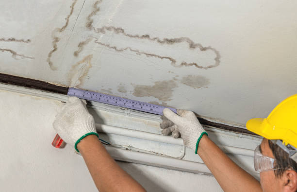 Reliable Flood Cleanup contractor in Morgan, UT by Water Damage Irwin